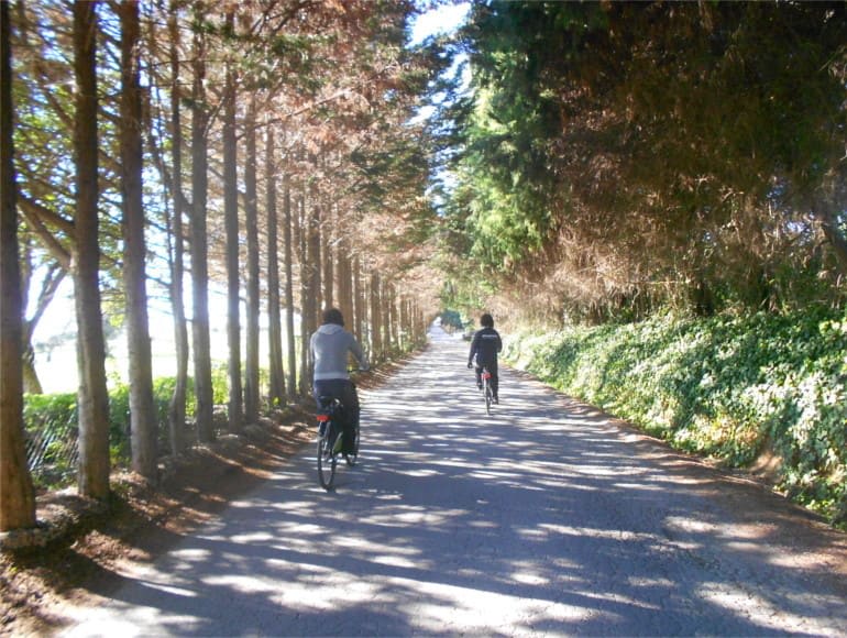 Vacanze in bicicletta Cabanas de Tavira